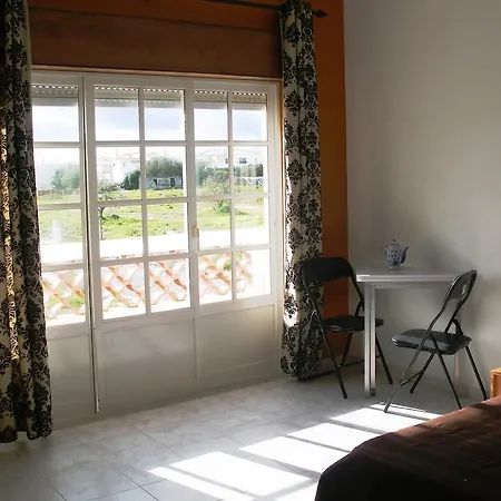 Palm Estudios