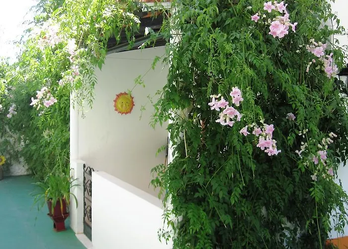 公寓 埃斯图迪奥斯棕榈别墅公寓