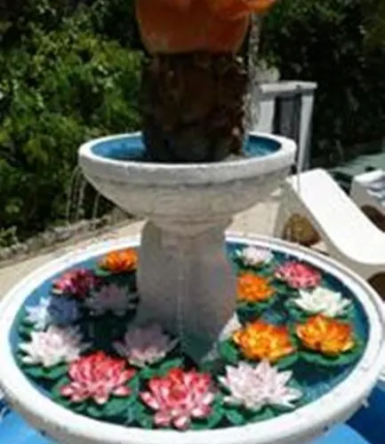 埃斯图迪奥斯棕榈别墅公寓 公寓 拉哥斯