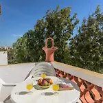 Palm Estudios *