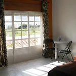Palm Estudios
