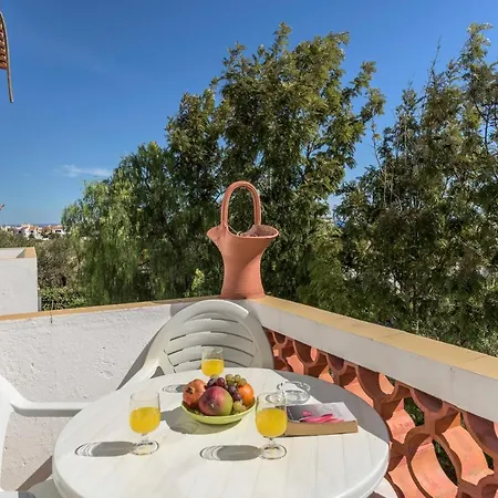 Palm Estudios *